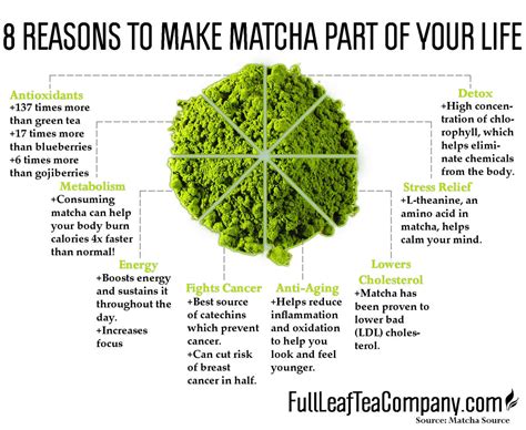 Matcha Benefits | The Tea Journey