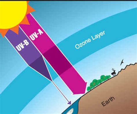 Effects of Ozone Layer Depletion - W3schools