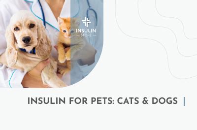 Insulin for Pets: Cats & Dogs | Insulin Store