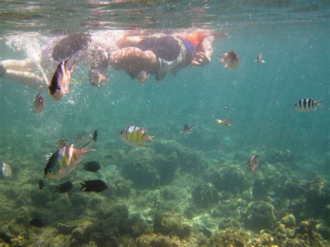 Snorkeling at Honda Bay with my friends :) - Palawan, Philippines ...