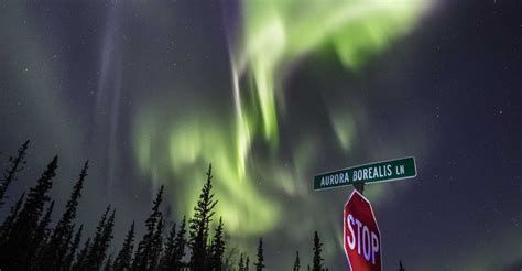 Aurora Borealis Season | Explore Fairbanks, Alaska