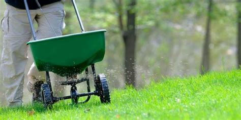 What Type of Lawn Spreader Should I use? | Milorganite