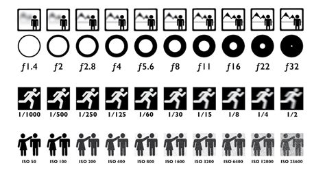 ISO Easy! Underwater Photography Camera Settings Explained