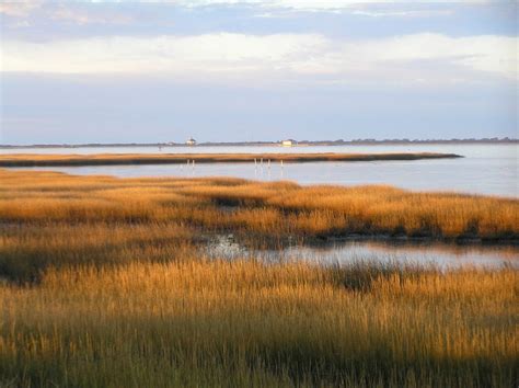 Crystal Clear: Restoring the Salt Marsh at Assateague Island (U.S ...