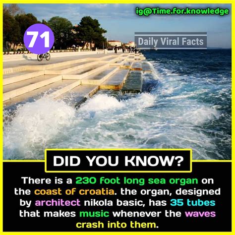 [100+] Amazing Facts That You Should Know #8