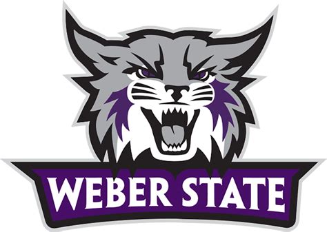 Keeping the cat tidy: Weber State tweaks athletics logo ahead of 2023 ...