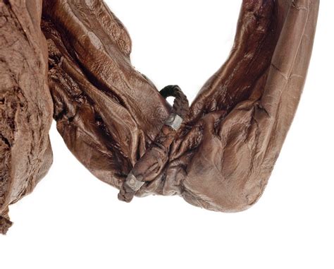 Bog bodies are extremely well-preserved - Business Insider