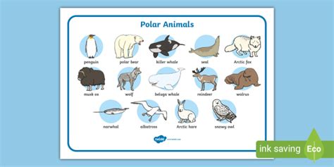 FREE! - Polar Animals Word Mat (teacher made)