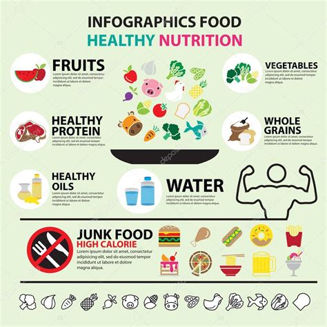 Infographic food healthy nutrition Stock Vector by ©bitontawan02 64522793