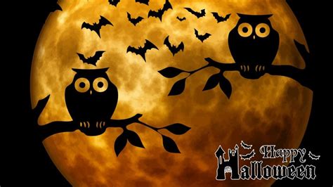 Halloween Owl Wallpapers - Wallpaperboat