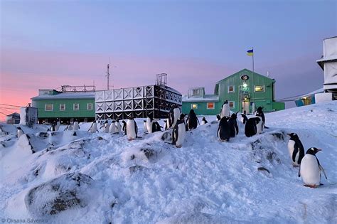 Ukrainian Antarctic research station: science and penguins