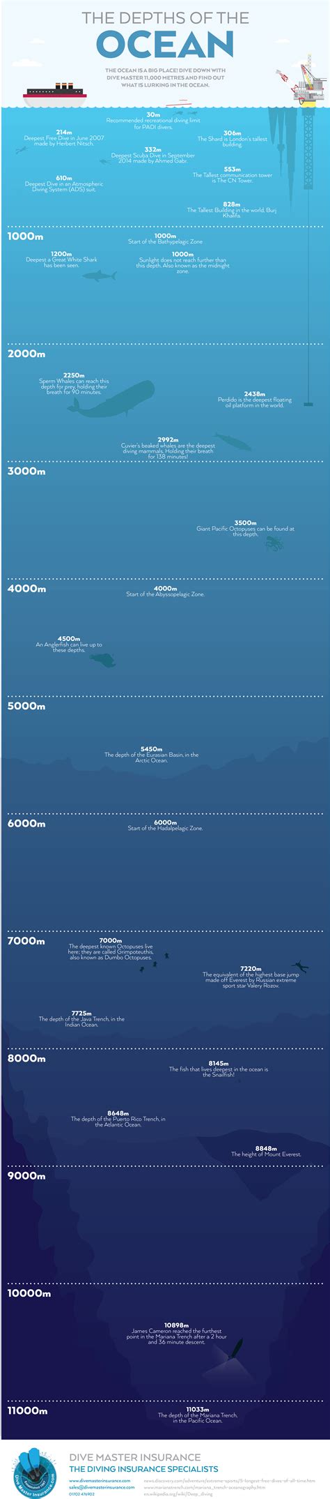 The Depths of the Ocean - Dive Master Insurance