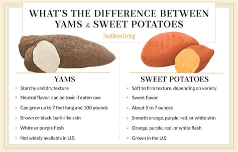 What's The Difference Between Yams And Sweet Potatoes?