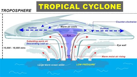 What Is A Tropical Cyclone Vs Hurricane? Quick Answer ...