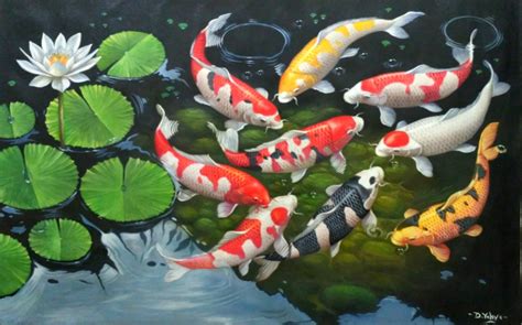 wallpaper ikan koi,koi,pond,fish pond,organism,fish (#115567 ...