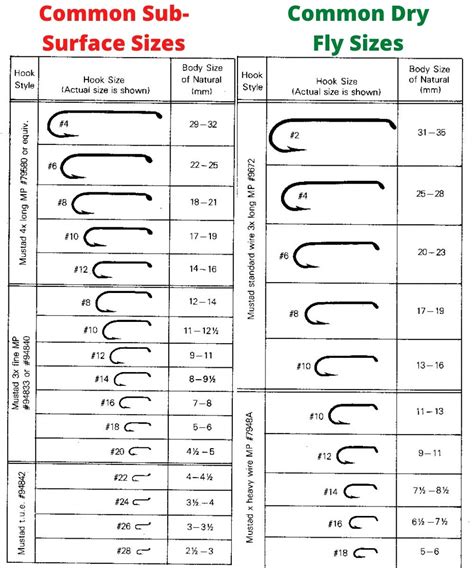 Fishing Hook Sizes Chart Sizes Types And Aughts Explained | Hot Sex Picture