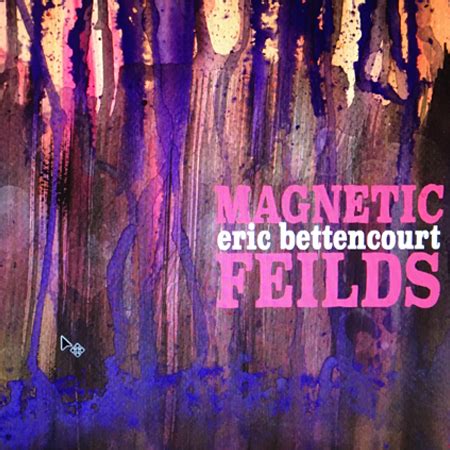 Magnetic Fields Cover: Various Versions | UnEzE