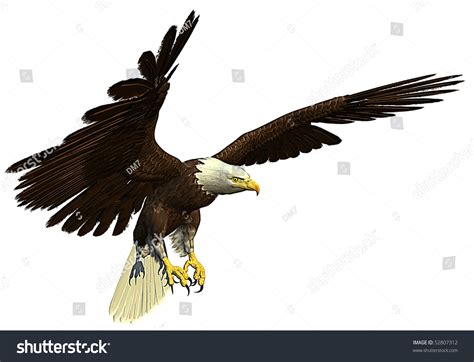 American Bald Eagle Hunting Stock Illustration 52807312 - Shutterstock