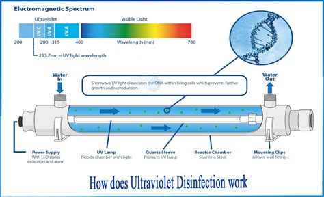 How does Ultraviolet disinfection work - Netsol Water