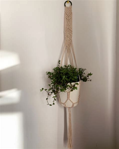 Macrame Boho Plant Hanger - Etsy