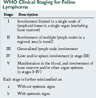 gastrointestinal lymphoma in cats symptoms - Items E-Zine Picture Gallery