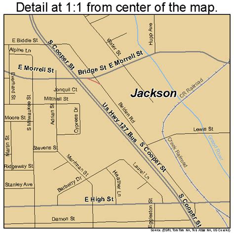 Jackson Michigan Street Map 2641420