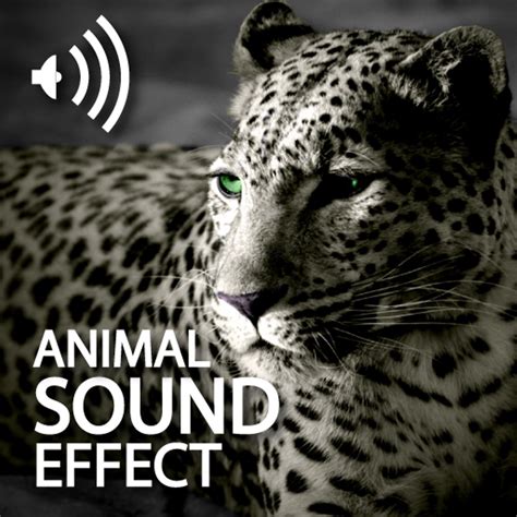 Animal Sounds Effects par Wei Ping YU