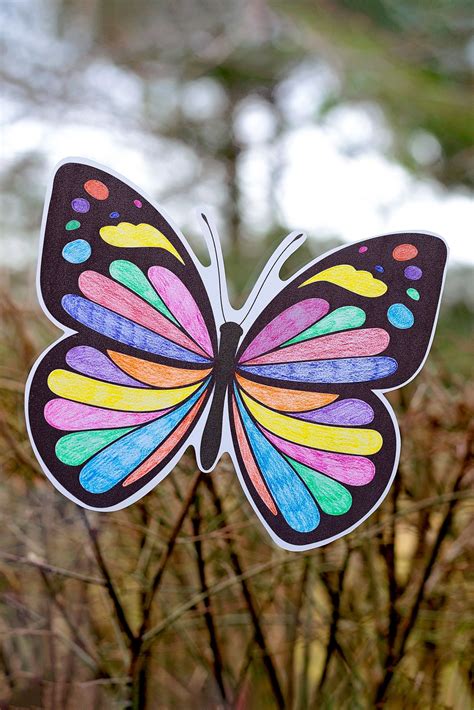 Butterfly Suncatcher Craft | Suncatcher craft, Printable crafts ...