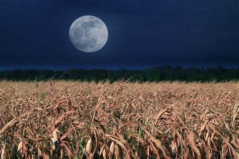 October opens with a full Harvest Moon, setting the stage for a blue ...