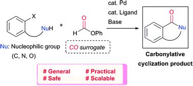 Concise synthesis of cyclic carbonyl compounds from haloarenes using ...