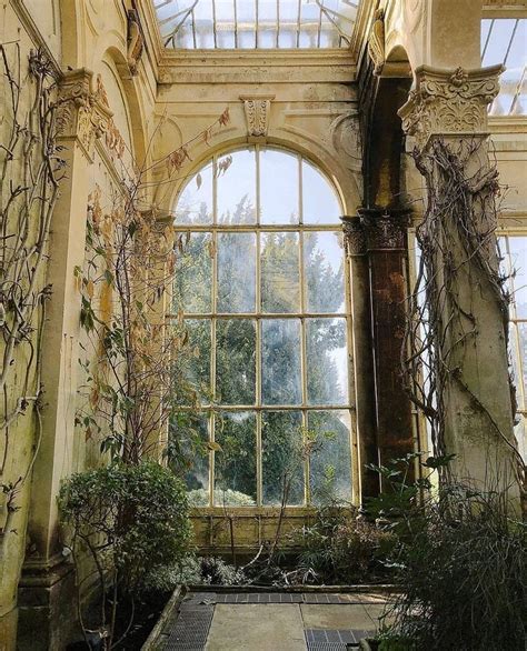 Winter garden, Castle Ashby . Photographer @haarkon_ . #greenhouse # ...