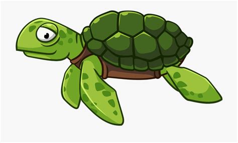 Free Turtle Clipart, Download Free Turtle Clipart png images, Free ...