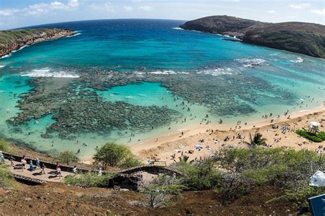 Oahu Shore Excursion: Hanauma Bay Snorkeling 2023