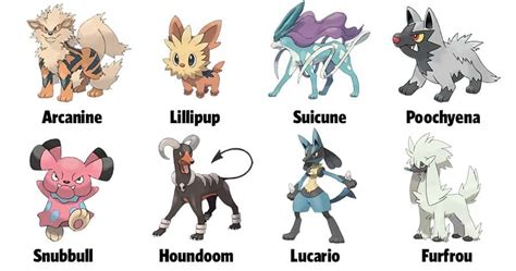 Pokemon Dog Names - My Dog's Name