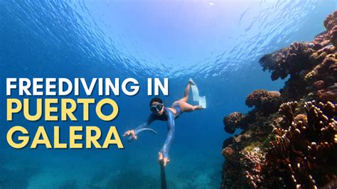 Freediving in Puerto Galera, Oriental Mindoro, Philippines - The Queen ...