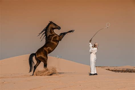 “100 Photos” Exhibit Highlights Stunning Photography From Saudi Arabia ...