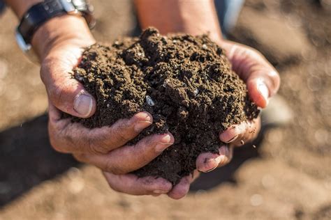 Consumer Soil Samples | N.C. Cooperative Extension