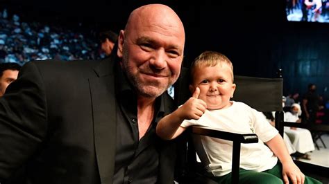 UFC: UFC boss Dana White calls Joe Rogan for advice after positive ...