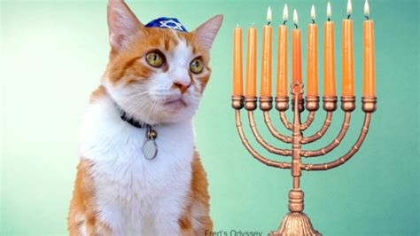 13 Funny Hanukkah Memes To Kick Off Your Celebration Right | Funny ...