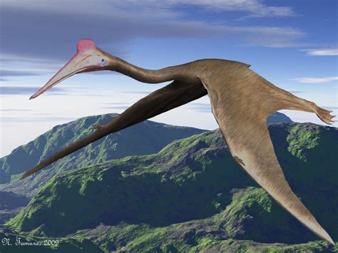 Quetzalcoatlus by NTamura on DeviantArt