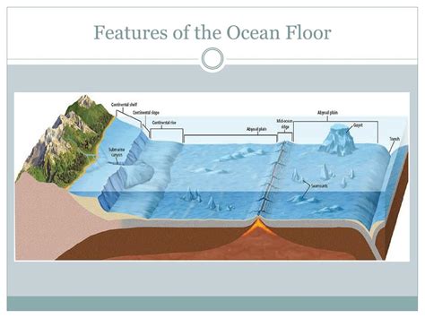 PPT - The Ocean Floor PowerPoint Presentation, free download - ID:2365770