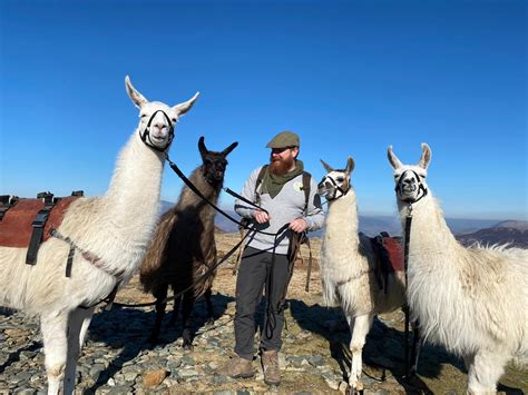 Full Day Llama Trekking Adventure - Alpacaly Ever After