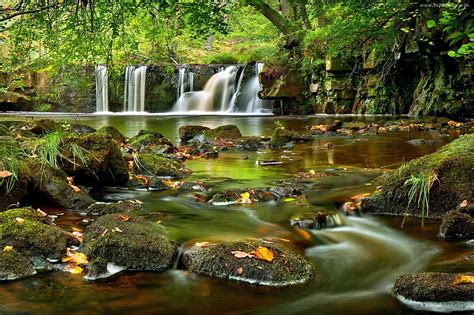 Forest river, stream, fall, pretty, falling, woods, bonito, leaves ...