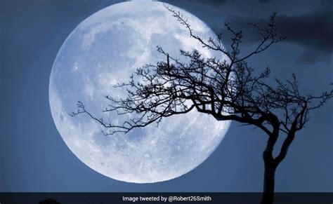 Halloween Blue Moon In 2020: A Blue Moon On Halloween, Know All About It