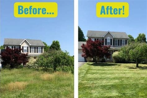 Spring Lawn Care Services | Rising Sun & Nearby