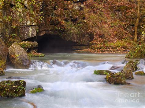 Greer Spring #4 Photograph by Kevin Pugh - Fine Art America