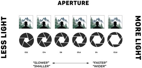 How to Choose the Best Aperture Every Time - Sean Dalton