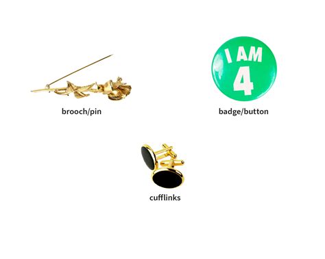 brooch noun - Definition, pictures, pronunciation and usage notes ...