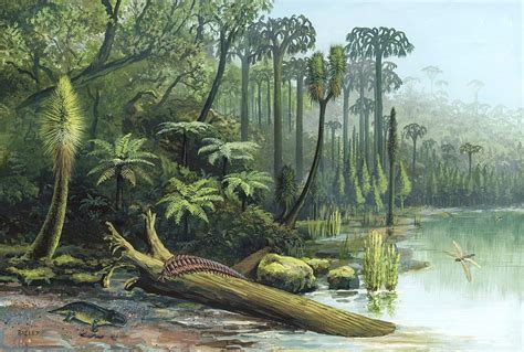 Carboniferous landscape, artwork Photograph by Science Photo Library ...