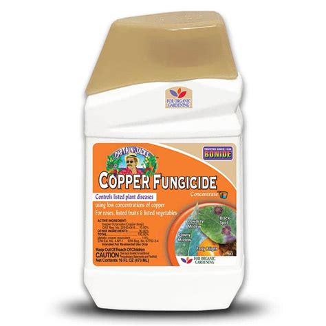 Bonide Captain Jack's Copper Fungicide, 16 oz. Concentrate for Organic ...